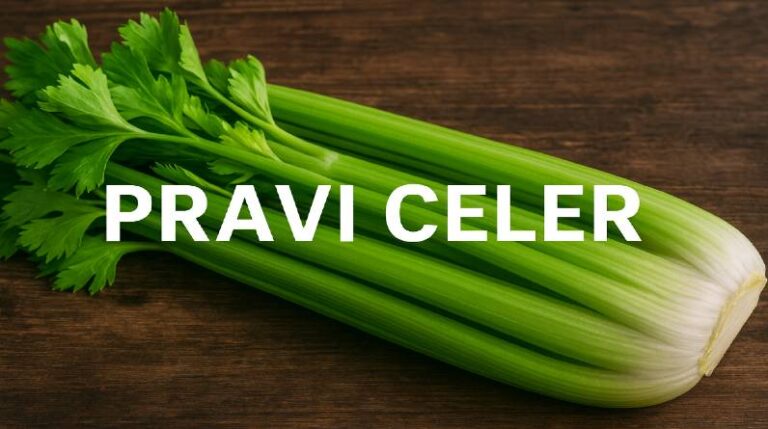 Pravi Celer: The Unsung Hero of Healthy and Sustainable Cooking pravi celer